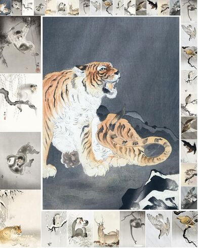 Decoupage Paper Pack (35 Sheets 6"x8") Tigers, Baboons and Other Brilliant Animals FLONZ Vintage Illustration Pictures Cards for Decoupage, Craft and Scrapbooking in Saudi Arabia