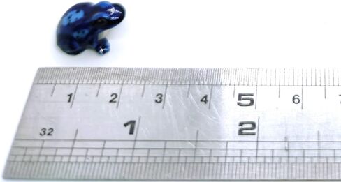 Frog Micro Tiny Dollhouse Figurines Ceramic Hand Painted Animals Collectible Small Gift Home Garden Decor in Kuwait