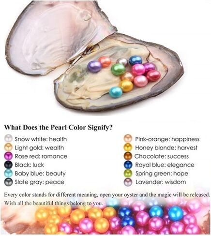 Zehao Wish Pearl Necklace Kit,Mysterious Oyster Pearl Gift Set,DIY Necklace Making Kit,Bead Locket Pendant with 20 Chain,Surprise Gift for Women(Spiral Drop ), Multicolor in Saudi Arabia
