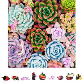 ZenChalet - Guitar Shaped Jigsaw Puzzles 500 Pieces - Inspiring Wood Cut Puzzles, Great for Gifts or Family Night - Unique Music Theme Brain Teaser - Rompecabezas para Adultos in Kuwait