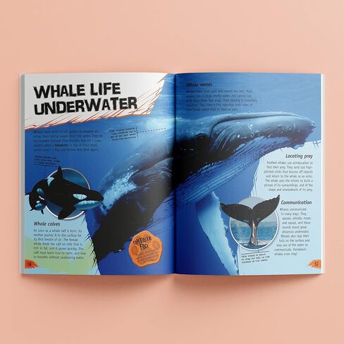 Incredible But True: Animals - Kids Hardcover Book, Learn About Animals, STEM for Kids Aged 7-12, Color Illustrated Non-Fiction Books for Kids & Tweens, Hinkler, 144 Page Book, Learning & Education in Saudi Arabia