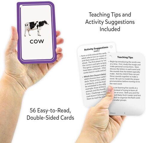 Teacher Created Resources Picture Words Flash Cards (EP62042) 3-1/8" x 5-1/8" in Saudi Arabia