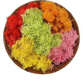 Samjobroad Moss,Preserved Moss,5 Shades of Green Moss-1.4 oz Each Moss for Crafts,Artificial Moss,7 oz Total Craft Moss, Decorative Moss for Terrariums, Planters, Fairy Gardens, and More (Green-01)