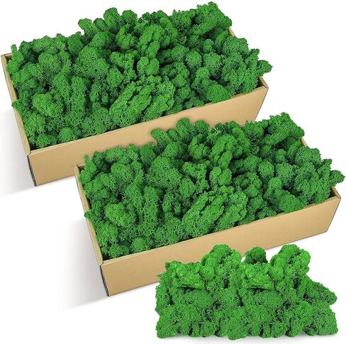 1.32 lbs Moss Preserved 21.2 oz Green Moss Preserved Reindeer Moss Bulk Artificial Moss Decorative DIY Kit for Craft Wall Decor Fairy Gardens Terrariums Art Project Table Floral Decor in Saudi Arabia