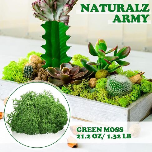 1.32 lbs Moss Preserved 21.2 oz Green Moss Preserved Reindeer Moss Bulk Artificial Moss Decorative DIY Kit for Craft Wall Decor Fairy Gardens Terrariums Art Project Table Floral Decor in Saudi Arabia