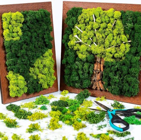 1.32 lbs Moss Preserved 21.2 oz Green Moss Preserved Reindeer Moss Bulk Artificial Moss Decorative DIY Kit for Craft Wall Decor Fairy Gardens Terrariums Art Project Table Floral Decor in Saudi Arabia