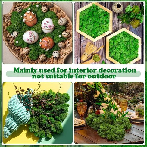 1.32 lbs Moss Preserved 21.2 oz Green Moss Preserved Reindeer Moss Bulk Artificial Moss Decorative DIY Kit for Craft Wall Decor Fairy Gardens Terrariums Art Project Table Floral Decor in Saudi Arabia