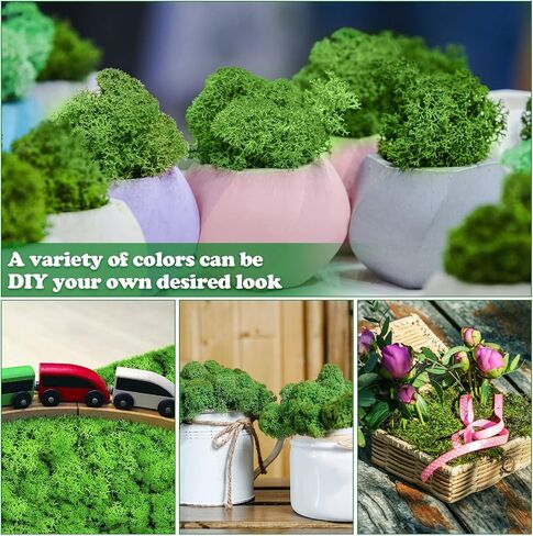 1.32 lbs Moss Preserved 21.2 oz Green Moss Preserved Reindeer Moss Bulk Artificial Moss Decorative DIY Kit for Craft Wall Decor Fairy Gardens Terrariums Art Project Table Floral Decor in Saudi Arabia