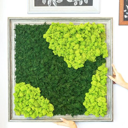 1.32 lbs Moss Preserved 21.2 oz Green Moss Preserved Reindeer Moss Bulk Artificial Moss Decorative DIY Kit for Craft Wall Decor Fairy Gardens Terrariums Art Project Table Floral Decor in Saudi Arabia