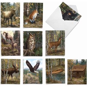 The Best Card Company - 10 Assorted Blank Notes Boxed Set 4 x 5.12 Inch with Envelopes (10 Designs, 1 Each) All-Occasion Kid Cards of Pets - INTO THE WOODS M10032BK in Kuwait