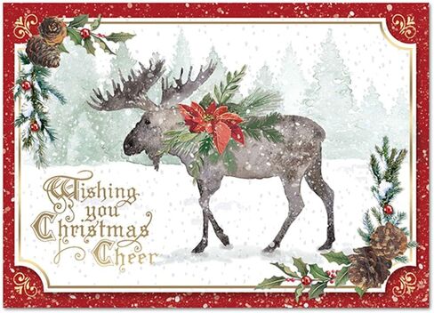 Punch Studio Christmas Tree Boxed Christmas Cards Set of 12 (50402), Multicolor in Kuwait