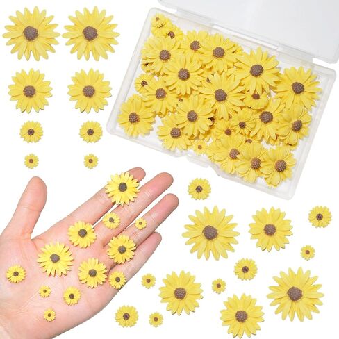 HADDIY Resin Sunflower for Craft,50 Pcs Small Flatback Yellow Decorative Daisy Flowers for Scrapbook Embellishment,DIY and Sunflower Party Decorations-No Hole in Kuwait