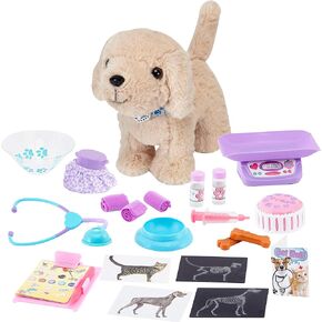 جيرني جيرلز بيت اند فيت سنتر (بيت جولدن لاب) in Kuwait