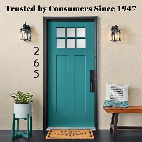 Krylon KSCB028 Short Cuts Brush-On Paint, 1-Ounce, Flat Black in Kuwait