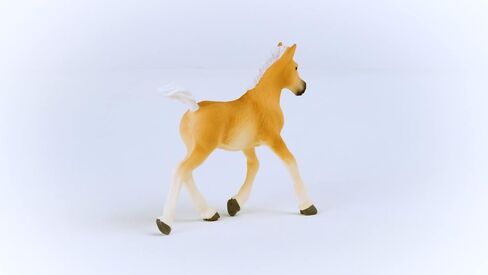 Schleich Horse Club Realistic Haflinger Foal Horse Figurine - Detailed Horse Toy, Durable for Education and Imaginative Play for Girls and Boys, Gift for Kids Ages 5+ in Saudi Arabia