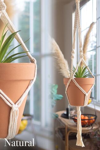 Macrame Kit, Makes 3 DIY Plant Hangers for Teens & Adult Beginners, Craft Supplies for Boho Art Project-3 Custom Color Macrame Cord, Wooden Rings & Instructions in Kuwait