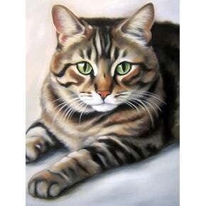 Jungobiu 5D الماس مجموعات الطلاء القط، DIY الماس الفن الحيوان مجموعات الطلاء مع الماس الحفر الكامل جولة الكريستال حجر الراين التطريز المستخدمة لتزيين جدار المكتب المنزلي 12 × 16 بوصة (30 × 40 سم) in Kuwait