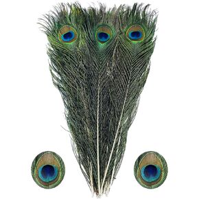 Bulk Natural Peacock Feathers-15Pcs 30-35in (76-90 cm),Long Peacock Feathers for Vase Decorations Party Decor and DIY Crafts in Kuwait
