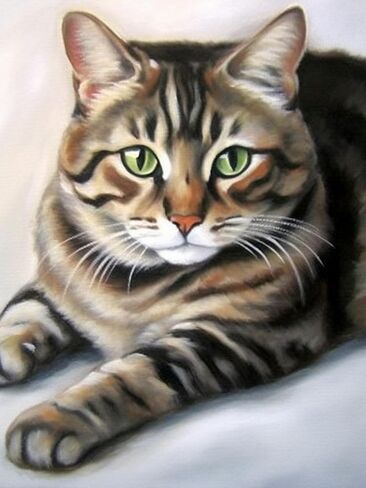 Jungobiu 5D الماس مجموعات الطلاء القط، DIY الماس الفن الحيوان مجموعات الطلاء مع الماس الحفر الكامل جولة الكريستال حجر الراين التطريز المستخدمة لتزيين جدار المكتب المنزلي 12 × 16 بوصة (30 × 40 سم) in Kuwait