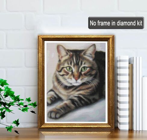 Jungobiu 5D الماس مجموعات الطلاء القط، DIY الماس الفن الحيوان مجموعات الطلاء مع الماس الحفر الكامل جولة الكريستال حجر الراين التطريز المستخدمة لتزيين جدار المكتب المنزلي 12 × 16 بوصة (30 × 40 سم) in Kuwait