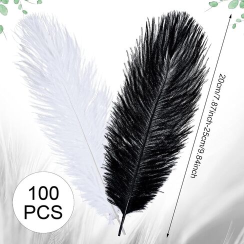 100 Pcs Natural Ostrich Feathers 8-10 Inch/ 20-25 cm Plumes Feathers for Crafts White Black Ostrich Feathers Bulk for DIY Home Decoration Christmas Wedding Party Centerpieces Vase Decor in Saudi Arabia