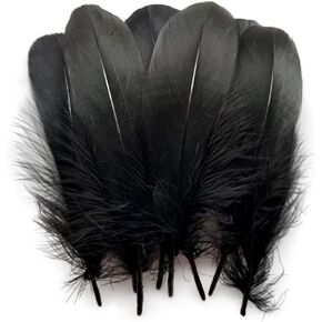 Sowder Natural Goose Feathers Clothing Accessories Pack of 100(black)