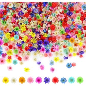 DLOnline 1000 Pieces Colourful Mini Dried Flowers, Natural Tiny Dried Flowers for Nails Art Decor, Dried Pressed Real Flower Heads for Jewelry, Resin, Crafts, Soap, Candle Making in Kuwait