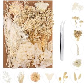 Dried Pressed Flowers, Dried Flowers for Crafts Natural Dried Flowers Mixed, Hydrangeas, Daisies, Natural Pressed Flowers Pink Decorative Dried Flowers for Crafts (Pink Series)