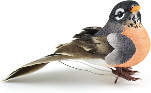 Touch of Nature 1-Piece Mushroom/Feather American Robin on Clip for Arts and Crafts, 4-Inch, Natural in Saudi Arabia