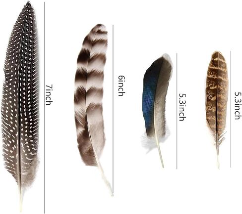 40 قطعة من ريش الديك الرومي الطبيعي، ريش الدراج المرقط، 4 أنماط من الريش للحرف اليدوية، قبعة DIY، ترتيبات الزهور، كرنفال الهالوين، ديكورات الحفلات in Kuwait