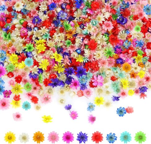 DLOnline 1000 Pieces Colourful Mini Dried Flowers, Natural Tiny Dried Flowers for Nails Art Decor, Dried Pressed Real Flower Heads for Jewelry, Resin, Crafts, Soap, Candle Making in Kuwait