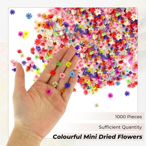 DLOnline 1000 Pieces Colourful Mini Dried Flowers, Natural Tiny Dried Flowers for Nails Art Decor, Dried Pressed Real Flower Heads for Jewelry, Resin, Crafts, Soap, Candle Making in Kuwait