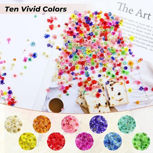 DLOnline 1000 Pieces Colourful Mini Dried Flowers, Natural Tiny Dried Flowers for Nails Art Decor, Dried Pressed Real Flower Heads for Jewelry, Resin, Crafts, Soap, Candle Making in Kuwait