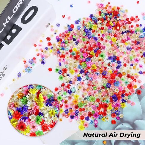 DLOnline 1000 Pieces Colourful Mini Dried Flowers, Natural Tiny Dried Flowers for Nails Art Decor, Dried Pressed Real Flower Heads for Jewelry, Resin, Crafts, Soap, Candle Making in Kuwait