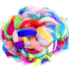 600PCS Colorful Feathers DIY Crafting Feathers Wedding and Party Decoration Feathers Christmas Feather Bulk for Mask,Windbell and Earrings,3-5 Inch in Kuwait