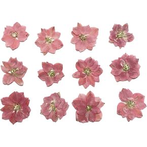 YUNZHI DIY Craft Delphinium زهور مضغوطة مجففة لسكرابوكينغ DIY شموع تزيين الراتنج إكسسوارات مجوهرات حرف ديكور صناعة 12 قطعة/الحزمة (وردي طبيعي)