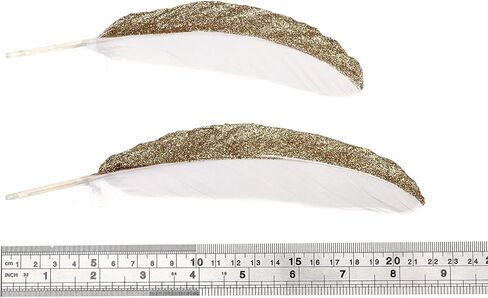 50 قطعة من ريش الإوز الذهبي والفضي المغمس مقاس 6-8 بوصة من الريش الطبيعي لمجموعة متنوعة من الحرف اليدوية والملابس (ذهبي وأسود) in Kuwait