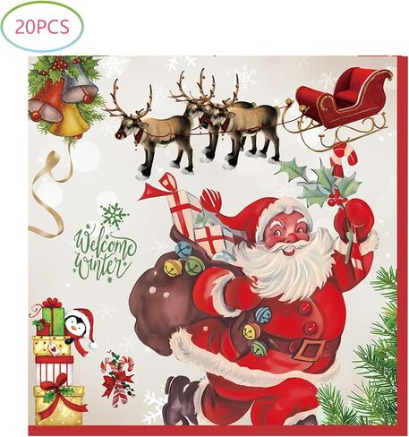 Hzleyw Christmas Party Supplies Paper Plates and Napkins, Vintage Christmas Disposable Dinnerware Set, 20 Plates and 20 Napkins, Merry Christmas Party Decorations Serves 20 in Kuwait