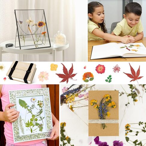 أويهياي مجموعة ضغط الزهور من 6 طبقات 6.3 × 8.3 انش، مجموعة ضغط النباتات لحفظ الزهور بما في ذلك التعليمات، مجموعة ضغط الزهور المجففة التي تصنعها بنفسك للبالغين والاطفال in Kuwait