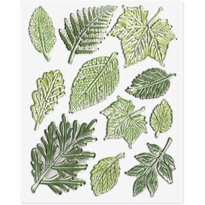 Multiple Green Leaves Clear Stamp for Card Making Maple Leaf Rubber Stamp Spring Fall Transparent Silicone Stamps Various Leaves Stamps for Scrapbooking Photo Album Paper Decorations in Saudi Arabia