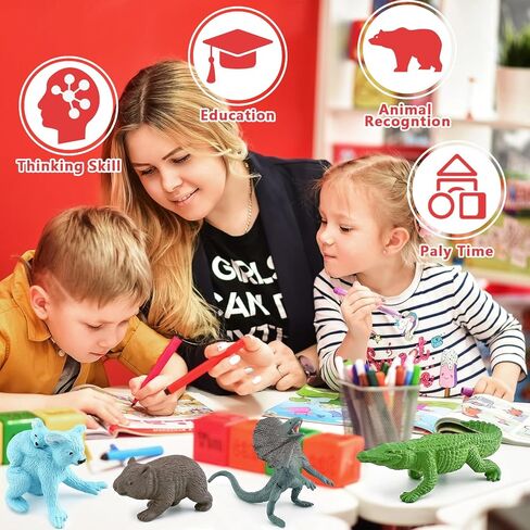 لعبة تماثيل حيوانات الحياة البرية الأسترالية الصغيرة من Newmemo 11 قطعة من حيوانات الغابات البرية وسفاري الغابة وحيوانات الغابة لتزيين الجزء العلوي من الكعك مع مجموعة لعب حيوانات الكنغر والكوالا كوكاتو في أمريكا الشمالية للأطفال in Kuwait