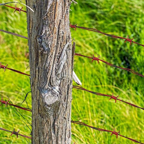 Wood Baseball Bat and Fake Barbed Wire Set, 25.2 Inch Wooden Ball Bat Wood Bats Plastic Barb Wire Decoration Prop for Halloween Cosplay Cowboy Party Decoration (Red Wire) in Saudi Arabia