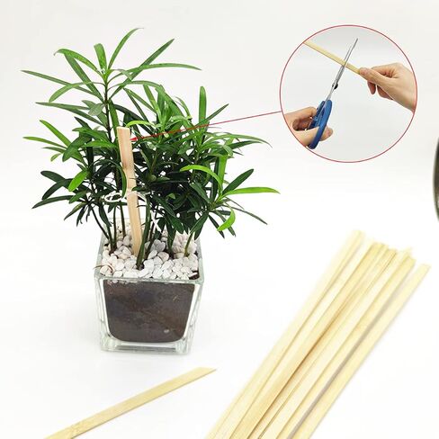120 قطعة من أعواد الخيزران الطبيعية القوية مقاس 11.8 بوصة، أعواد حرفية خشبية، أعواد طويلة جدًا، شرائط خشبية للمشروعات اليدوية، عرض 3/8 بوصة in Kuwait
