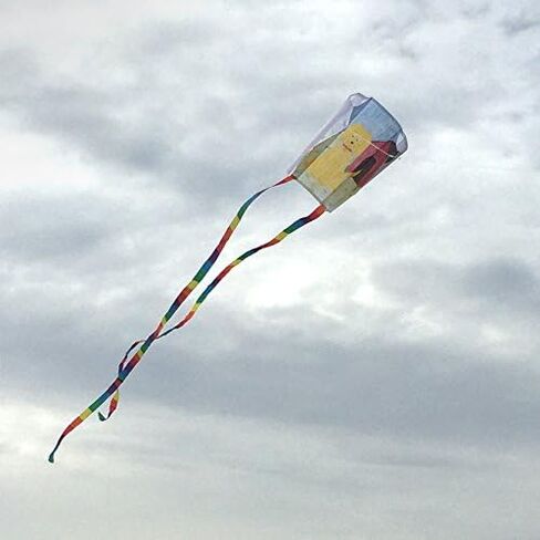 In the Breeze Coloring Delta 30 Inch Kite - 50 Piece Party Pack - Single Line Kite - Includes Crayons, Kite Line and Bag - Creative Fun for Kids and Adults,Butterfly Kite,3186-PACKS in Saudi Arabia