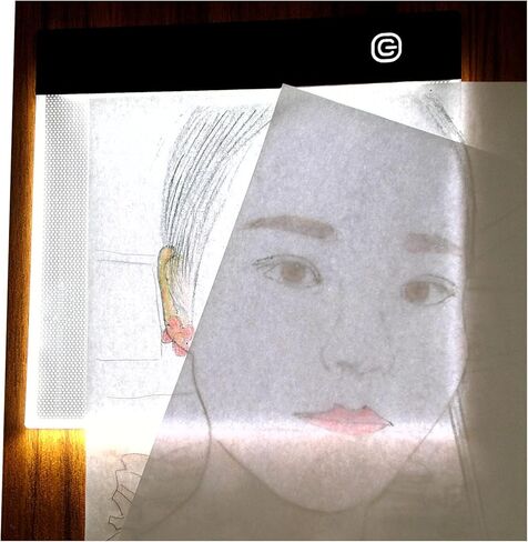 A5 رقيقة جدا محمولة ضوء تتبع مربع ضوء عاكس للضوء لوحة تتبع لوحة سطوع قابل للتعديل للفنانين رسم رسم رسم أثر الرسوم المتحركة الفنية 5D لوحة الماس مع كابل الطاقة USB in Kuwait