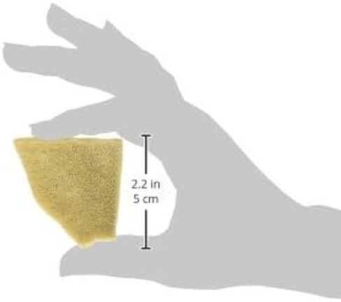 PRO ART Natural Sponge in Kuwait