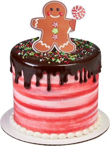DecoPac Santa in Sleigh Cake Decoration, Christmas Cake Topper, Festive Layon With Santa and Reindeer, 24 Pack in Kuwait