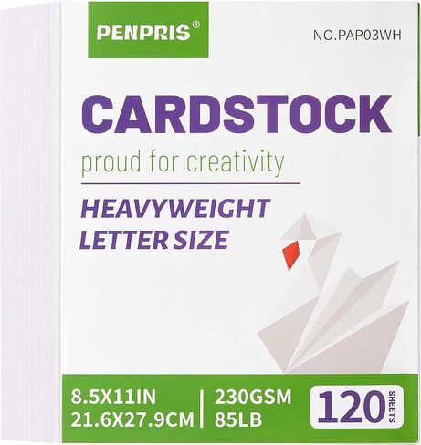 120 Sheets White Cardstock - 8.5" x 11" Letter Size Cover Card Stock 230gsm/85lb Heavyweight Paper Thick Paper for Scrapbooking, Crafts, Business Cards, Invitations PAP03WH in Saudi Arabia