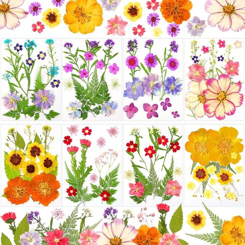 8 Sets Dried Flower Mini Dried Flowers Dried Flowers for Nails for DIY Candle Resin Jewelry Nail Pendant Crafts Making Art Floral Decors in Saudi Arabia