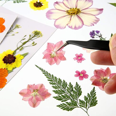 8 Sets Dried Flower Mini Dried Flowers Dried Flowers for Nails for DIY Candle Resin Jewelry Nail Pendant Crafts Making Art Floral Decors in Saudi Arabia